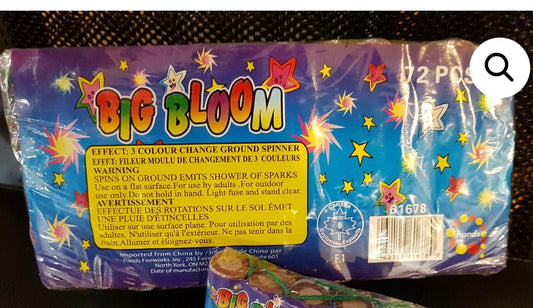 Big Bloom (12pack) 1 brick